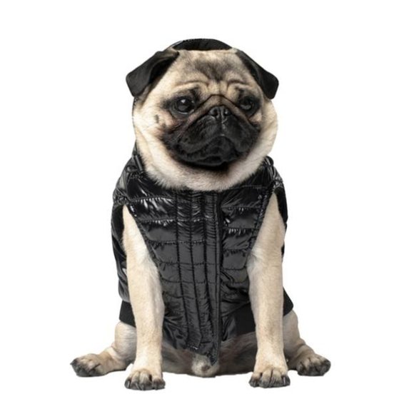 Canada Pooch Shiny Puffer Black Vest - Size 10 - Picture 2 of 4